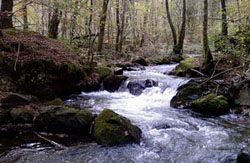 Tour cascade op 1 km afstand